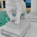 云南 白麻花岗岩动物异形石雕-大象