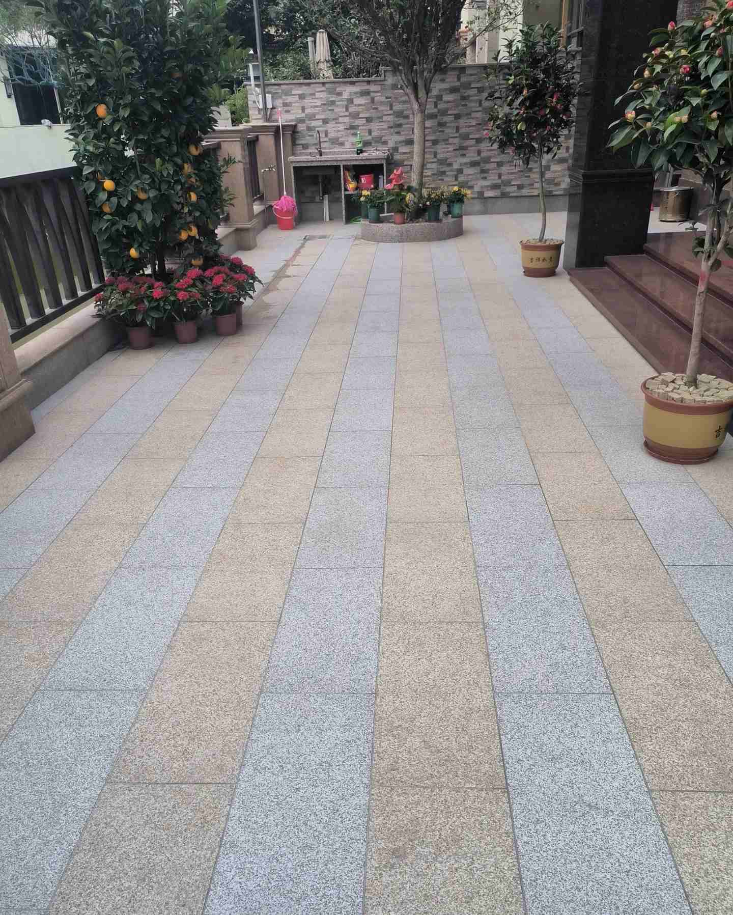 云南 黄金麻白麻荔枝面庭院铺装展示